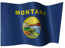 Montana Car Transporter